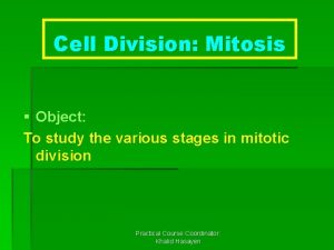 Cell Division Mitosis Object To study the various