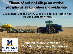 Effects of reduced tillage on vertical phosphorus stratification