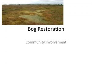 Bog Restoration Community involvement Turf cutting Yyyyypppp Use
