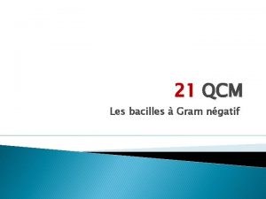 21 QCM Les bacilles Gram ngatif Les Brucella