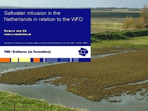 Saltwater intrusion in the Netherlands in relation to