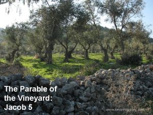 The Parable of the Vineyard Jacob 5 www