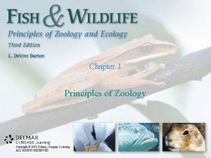 Chapter 1 Principles of Zoology Copyright 2010 Delmar
