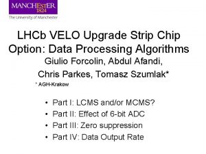 LHCb VELO Upgrade Strip Chip Option Data Processing
