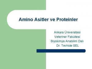 Amino Asitler ve Proteinler Ankara niversitesi Veteriner Fakltesi