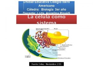 Unidad Educativa Colegio Ibero Americano Ctedra Biologa 3