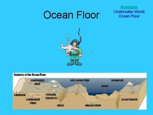Ocean Floor Brainpop Underwater World Ocean Floor The
