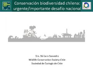 Conservacin biodiversidad chilena urgenteimportante desafo nacional Dra Brbara