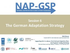 Session 6 The German Adaptation Strategy Nele Bnner