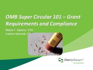 OMB Super Circular 101 Grant Requirements and Compliance