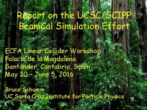 Report on the UCSCSCIPP Beam Cal Simulation Effort