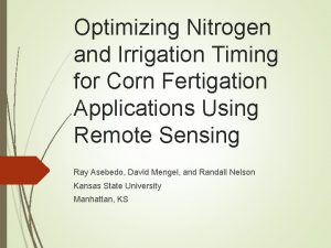 Optimizing Nitrogen and Irrigation Timing for Corn Fertigation
