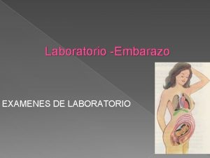 Laboratorio Embarazo EXAMENES DE LABORATORIO EXAMENES DE LABORATORIO