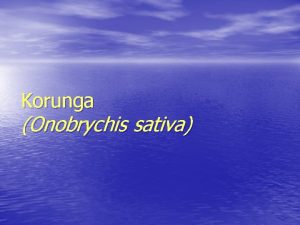Korunga Onobrychis sativa Korunga yi bir balz kaynadr