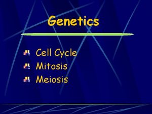Genetics Cell Cycle Mitosis Meiosis Eukaryotic chromosomes contain