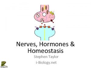 Nerves Hormones Homeostasis Stephen Taylor iBiology net Schwan