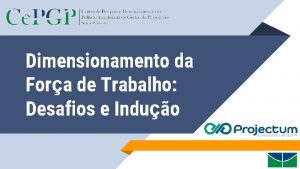 Dimensionamento da Fora de Trabalho Desafios e Induo