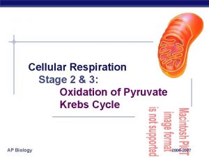 Cellular Respiration Stage 2 3 Oxidation of Pyruvate