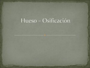 Hueso Osificacin Tejido seo y hueso Funciones Mecnicas