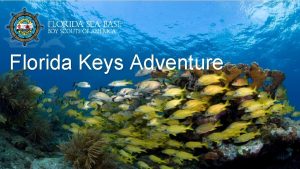 Florida Keys Adventure Brief History of Sea Base