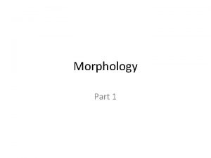 Morphology Part 1 What is morphology The study