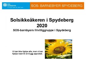 SOS BARNEBYER SPYDEBERG Solsikkekeren i Spydeberg 2020 SOSbarnbyers