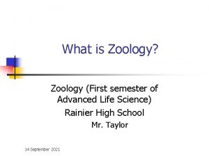 What is zoology