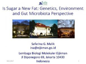 Is Sugar a New Fat Genetics Environment and