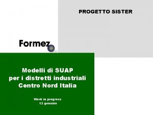 PROGETTO SISTER Modelli di SUAP per i distretti