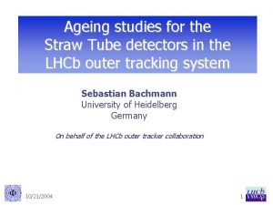 Ageing studies for the Straw Tube detectors in