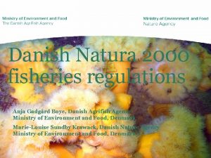 Danish Natura 2000 fisheries regulations Anja Gadgrd Boye