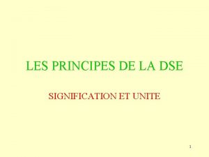 LES PRINCIPES DE LA DSE SIGNIFICATION ET UNITE