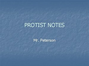 PROTIST NOTES Mr Peterson Animallike Protists n n