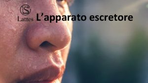 Lapparato escretore Come eliminiamo le sostanze dannose Durante