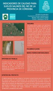 INDICADORES DE CALIDAD PARA SUELOS SALINOS DEL NE