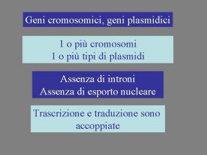 Geni cromosomici geni plasmidici 1 o pi cromosomi
