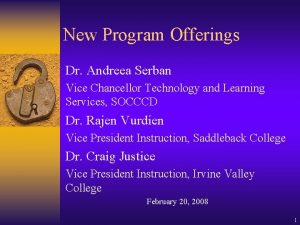 New Program Offerings Dr Andreea Serban Vice Chancellor