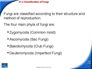 21 2 Classification of Fungi are classified according