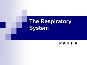 The Respiratory System PART A Respiratory System n