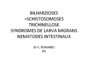 BILHARZIOSES SCHISTOSOMOSES TRICHINELLOSE SYNDROMES DE LARVA MIGRANS NEMATODES