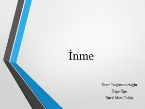 nme Ecem Deirmenciolu zge ge Kutal Mete Tekin