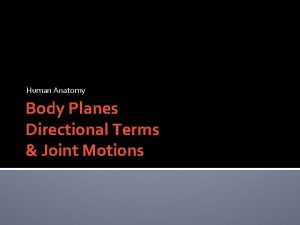 Human Anatomy Body Planes Directional Terms Joint Motions