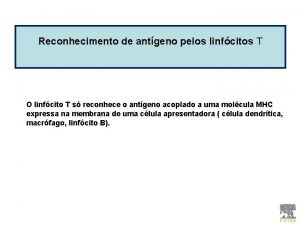 Reconhecimento de antgeno pelos linfcitos T O linfcito