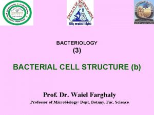 BACTERIOLOGY 3 BACTERIAL CELL STRUCTURE b Prof Dr