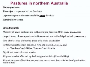 Pastures in northern Australia Native pastures The major