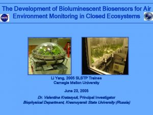 The Development of Bioluminescent Biosensors for Air Environment