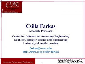 Csilla Farkas Associate Professor Center for Information Assurance