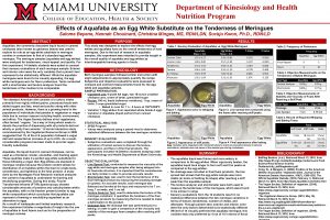 Department of Kinesiology and Health Nutrition Program Effects