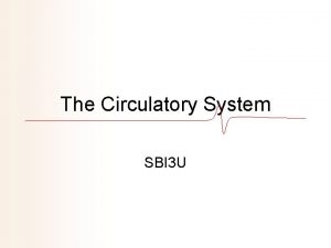 The Circulatory System SBI 3 U Interesting Facts