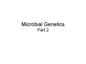 Microbial Genetics Part 2 Genetic Mutation A genetic